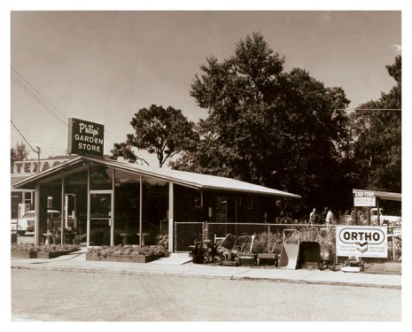 PHILIPSEDGEWOODFRAME72DPI